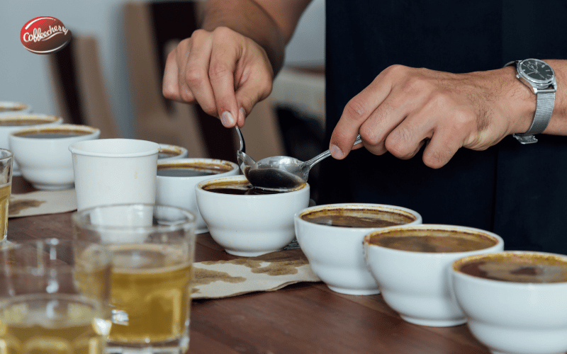 vi-sao-ca-phe-dac-san-khong-chi-la-cau-chuyen-marketing (2)